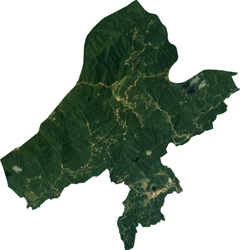 大熊山国有林场卫星图