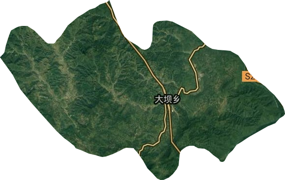 大坝乡卫星图