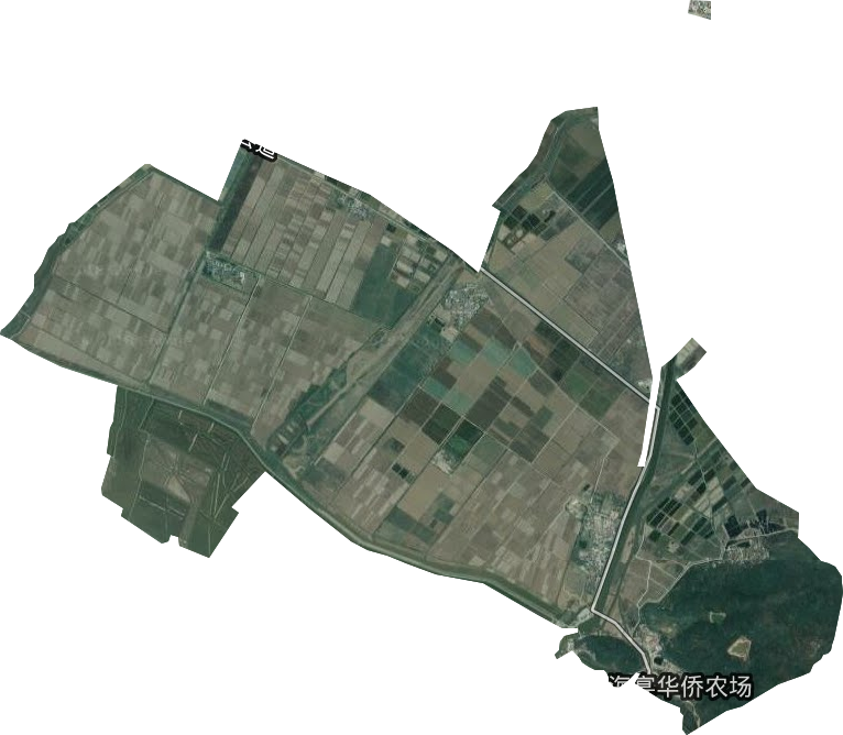 华侨农场卫星图