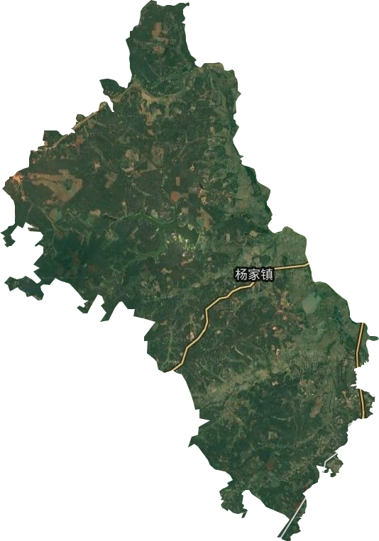 杨家镇卫星图