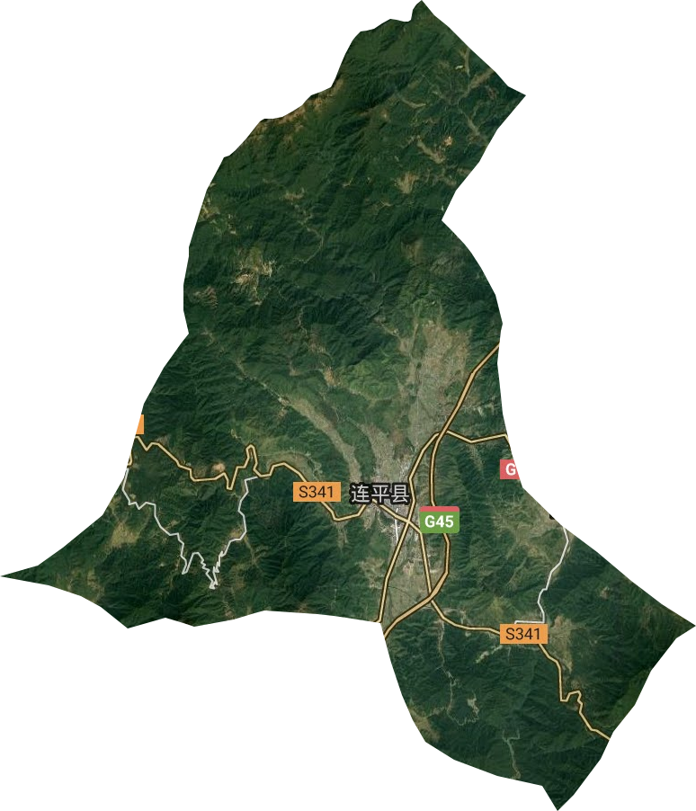 元善镇卫星图