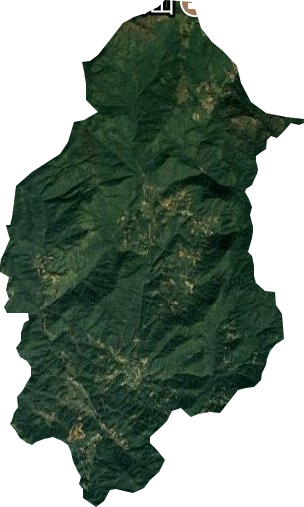 万峰林场卫星图