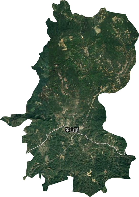 东山镇卫星图