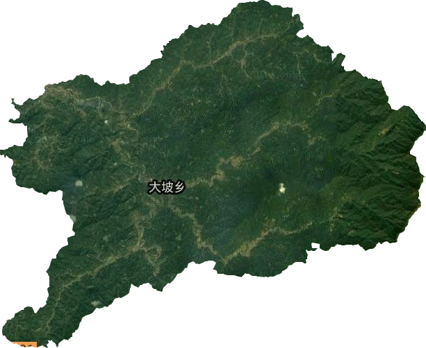 大坡乡卫星图
