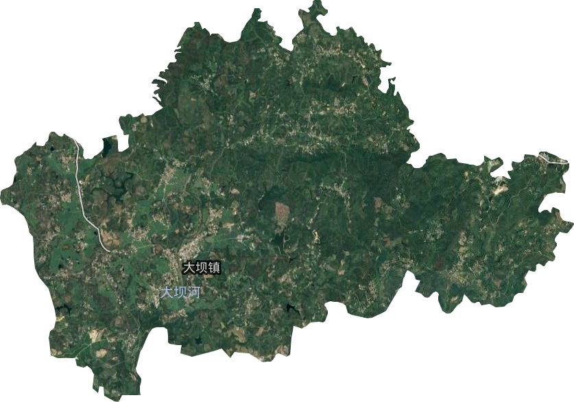 大坝镇卫星图