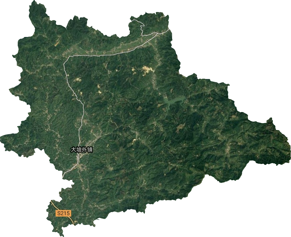 大坡外镇卫星图