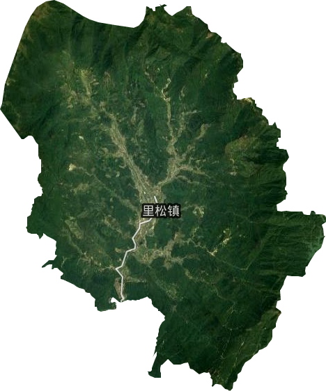 里松镇卫星图