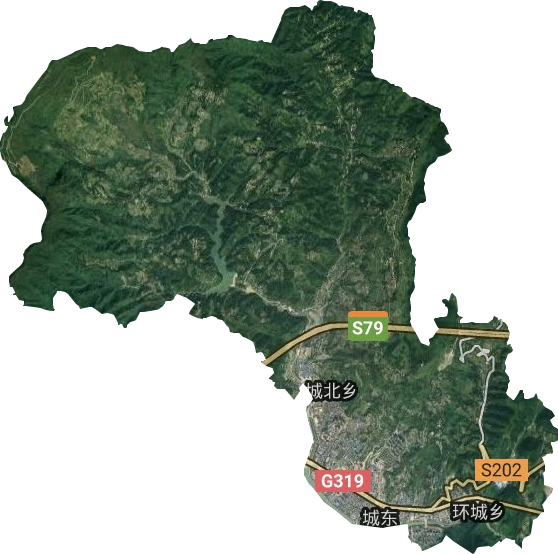 城东街道卫星图