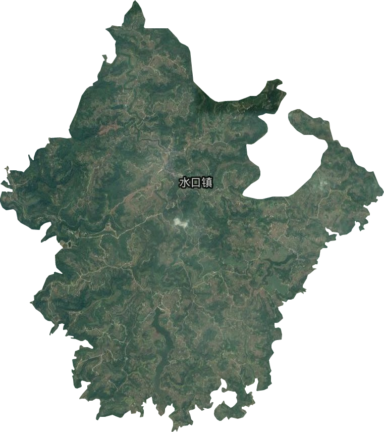 水口镇卫星图