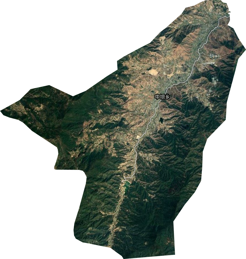 中坝乡卫星图