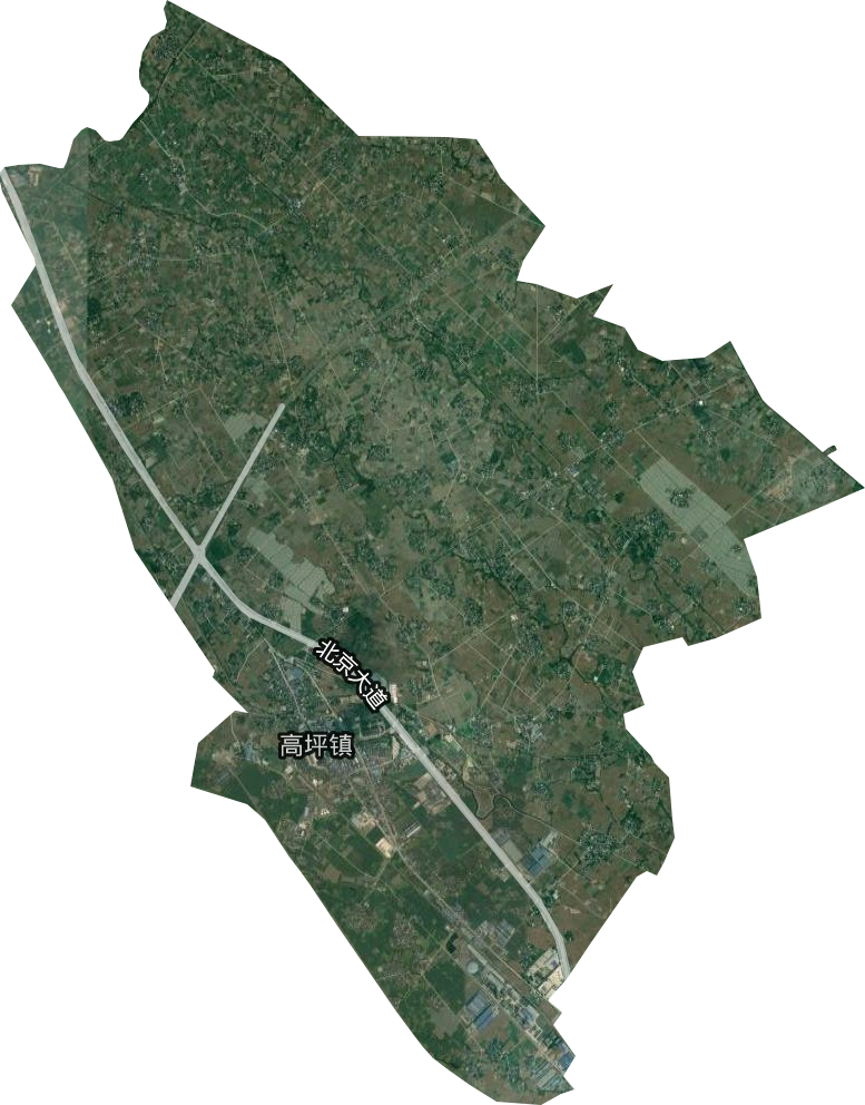 高坪镇卫星图