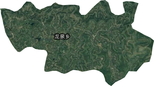 龙泉乡卫星图