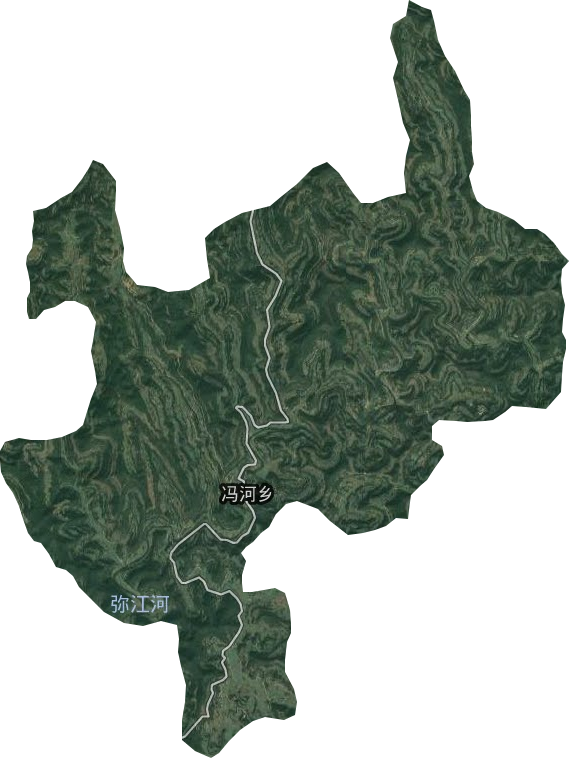 冯河乡卫星图