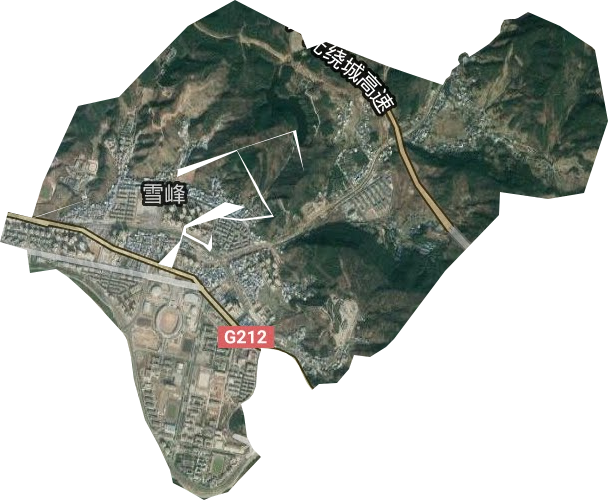 雪峰街道卫星图