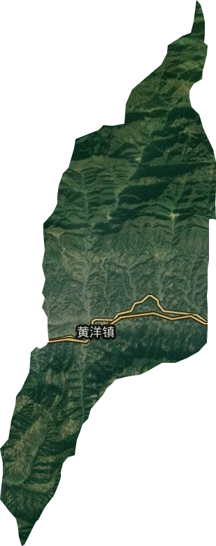 黄洋镇卫星图