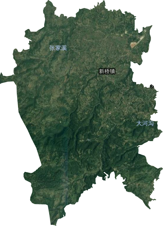 新桥镇卫星图