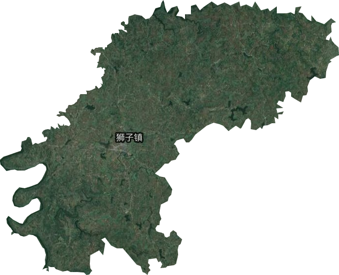 狮子镇卫星图