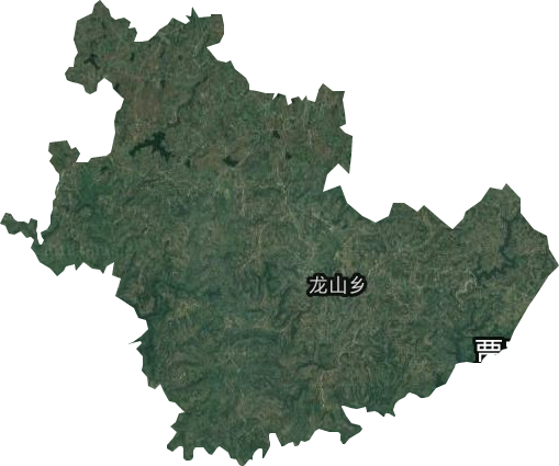 龙山乡卫星图