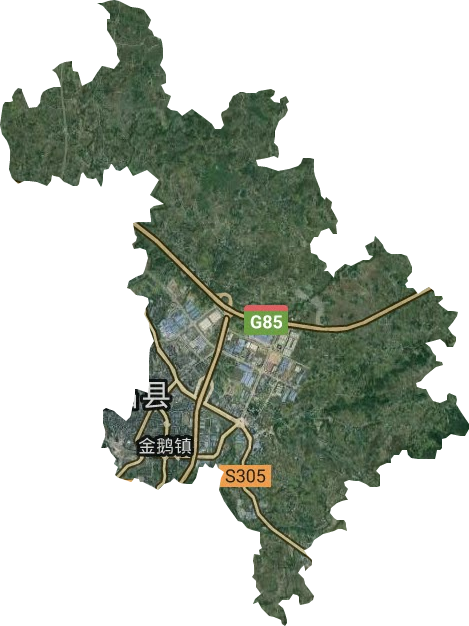 金鹅镇卫星图