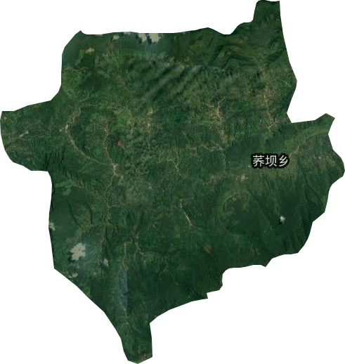 荍坝乡卫星图
