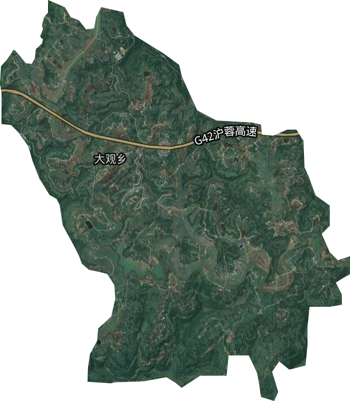 大观乡卫星图