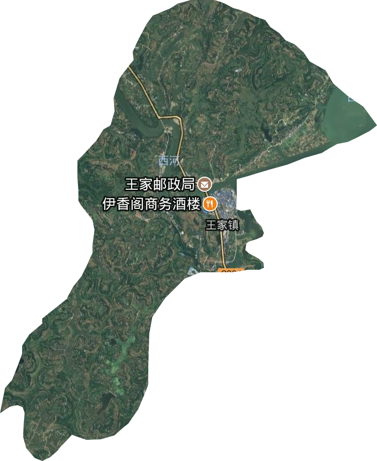 王家镇卫星图