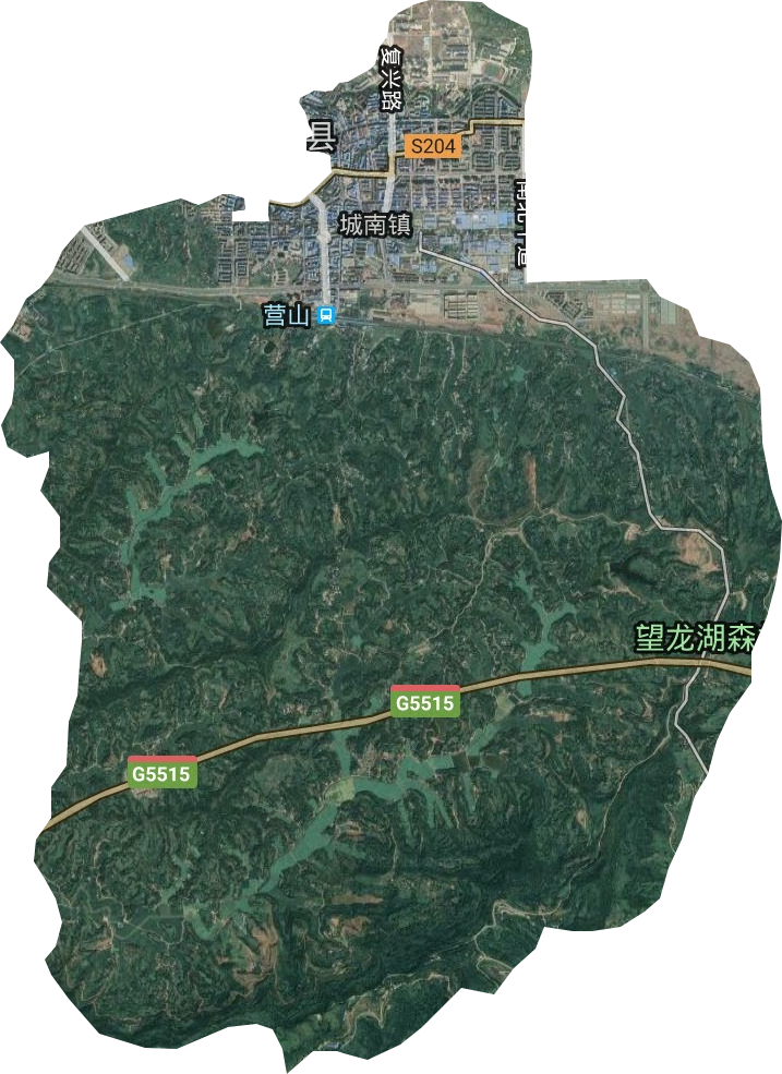 城南镇卫星图
