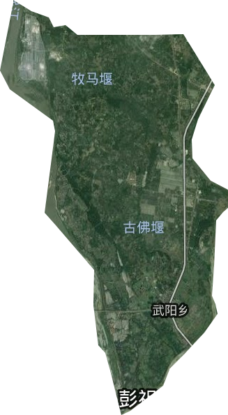 武阳乡卫星图