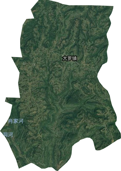 大罗镇卫星图