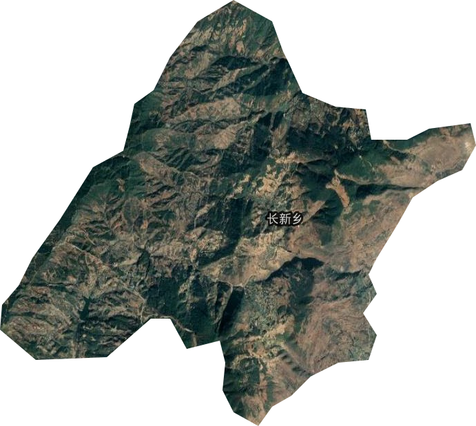 长新乡卫星图