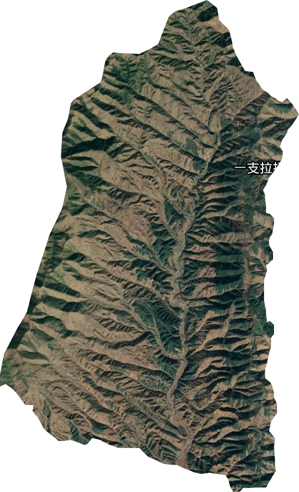 三岗乡卫星图