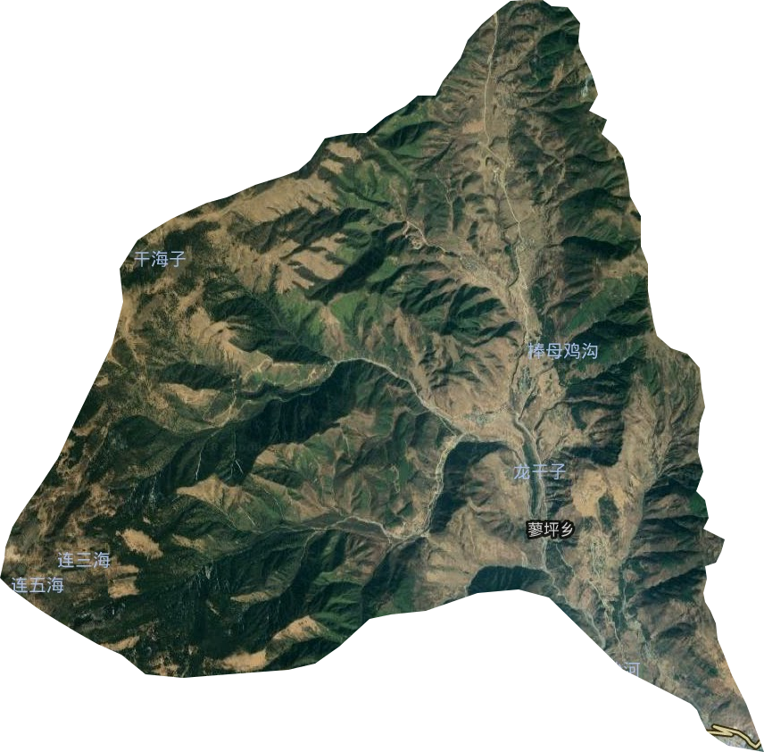 蓼坪乡卫星图