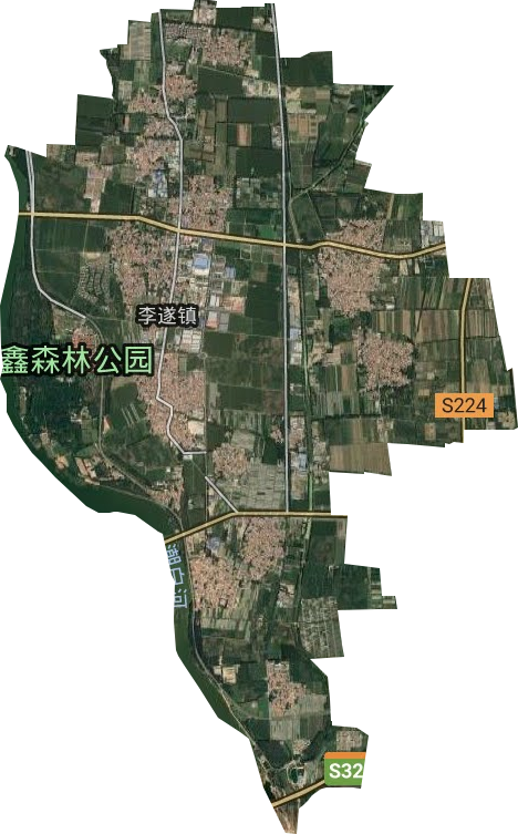李遂镇卫星图