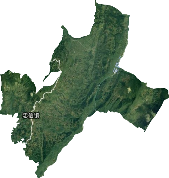 忠信镇卫星图