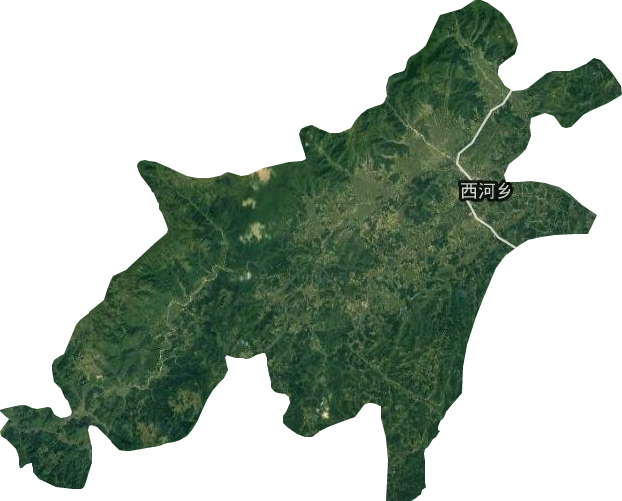 西河乡卫星图