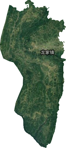 龙家镇卫星图