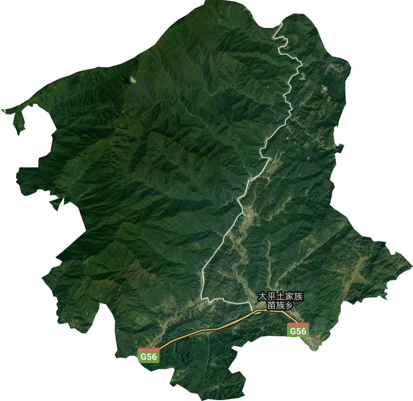 太平镇卫星图
