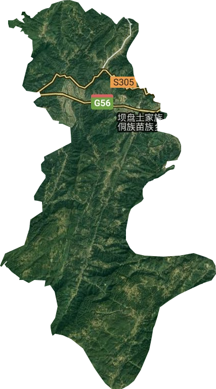 坝盘镇卫星图