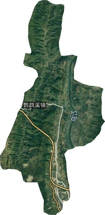 鹦鹉溪镇卫星图