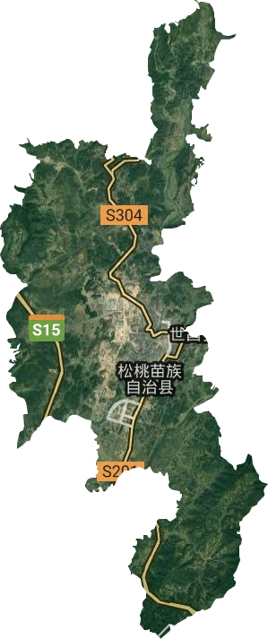 蓼皋镇卫星图
