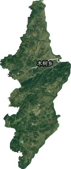 木树乡卫星图