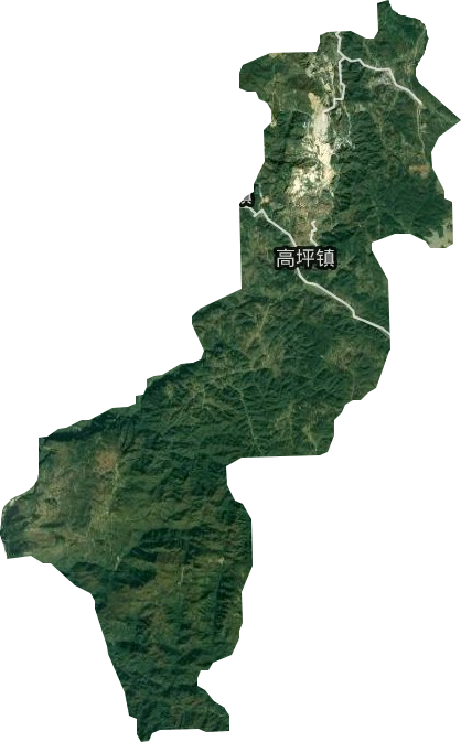 高坪镇卫星图