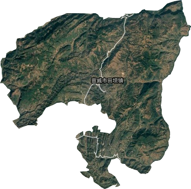 田坝镇卫星图