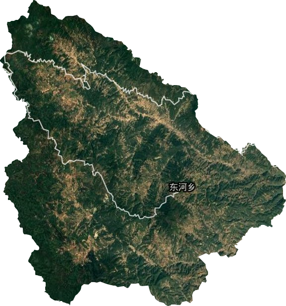 东河乡卫星图