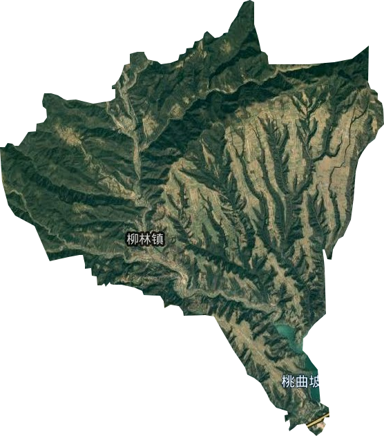 安里乡卫星图