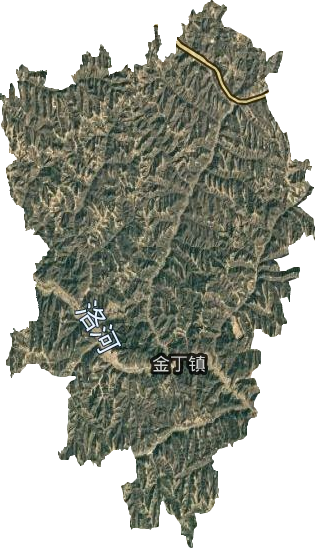 金丁镇卫星图