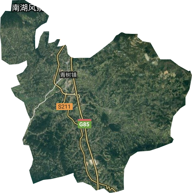 青树镇卫星图