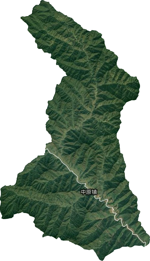 中原镇卫星图