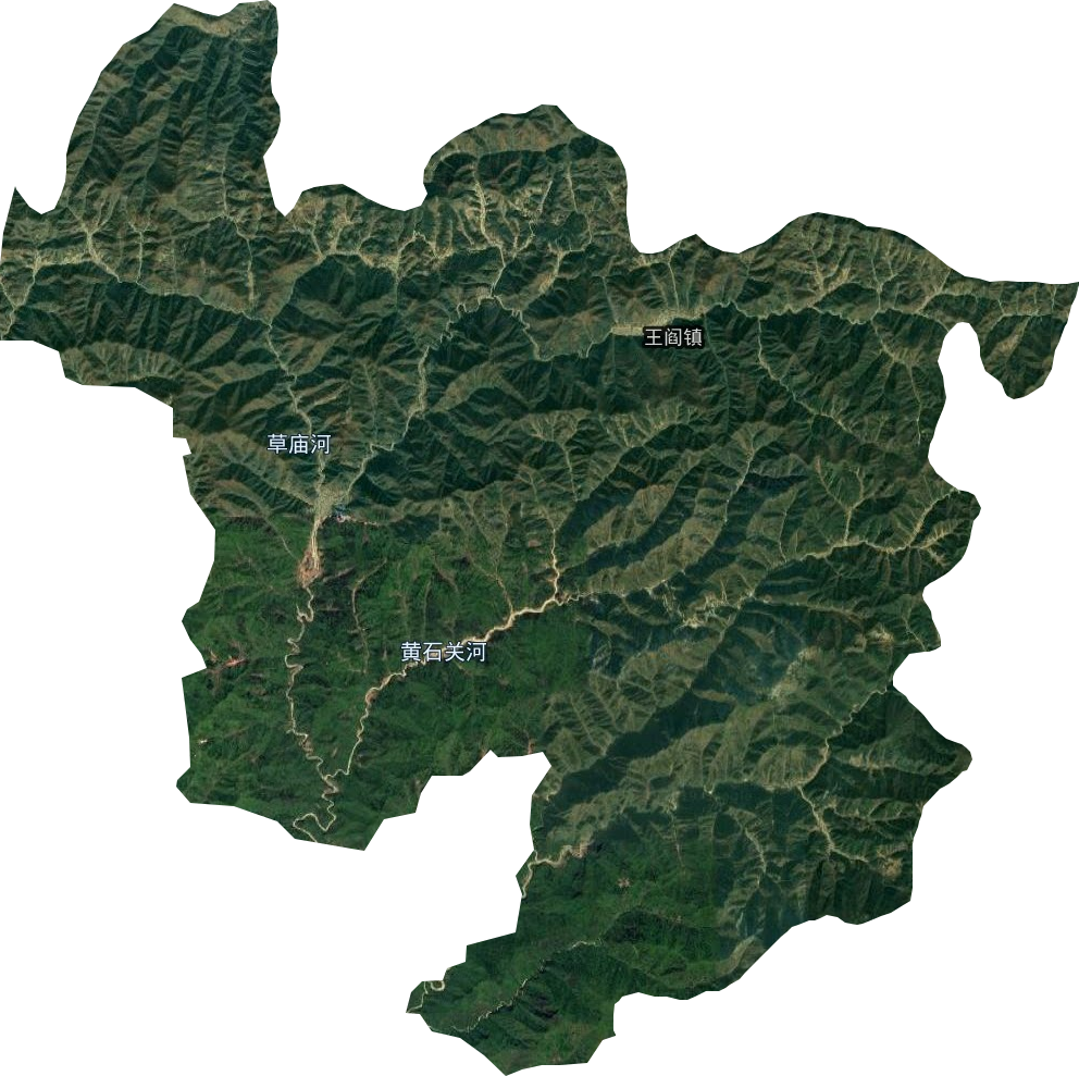 王阎乡卫星图