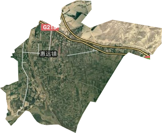 惠远镇卫星图